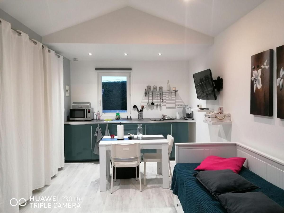 Apartmán Petit Nid Douillet Reventin-Vaugris Exteriér fotografie