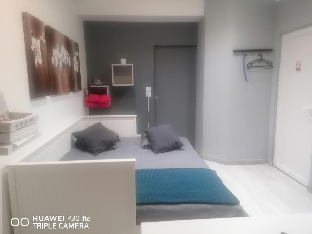 Apartmán Petit Nid Douillet Reventin-Vaugris Exteriér fotografie